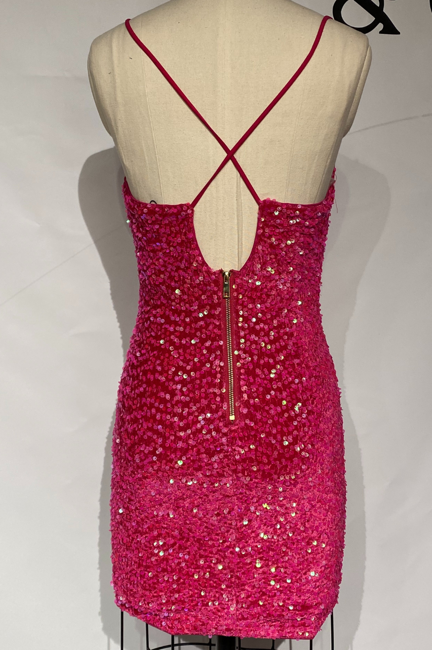 Vestido Bianca Fucsia de Terciopelo con Lentejuelas Multicolor