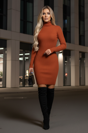 Carmelia Vestido Bronze con Manga Larga  y Cuello Alto