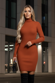 Carmelia Vestido Bronze con Manga Larga  y Cuello Alto