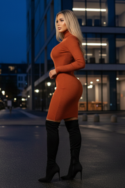 Carmelia Vestido Bronze con Manga Larga  y Cuello Alto